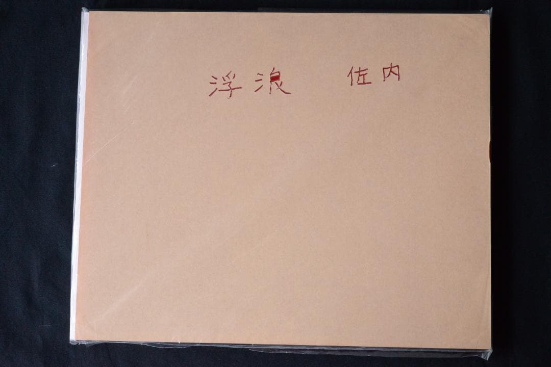【浮浪】佐内正史 自彫署名 1,000部限定ナンバ入　★★大幅に値下げしました