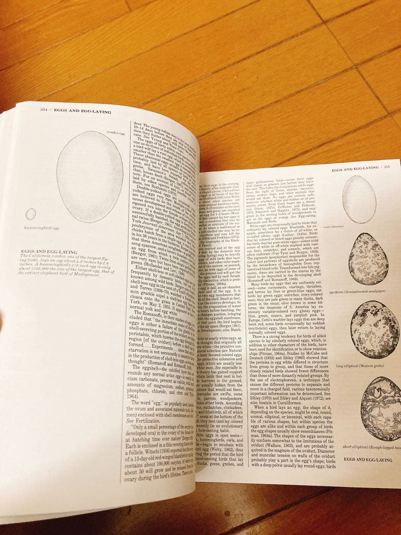 The Audubon Society BIRDS 図鑑