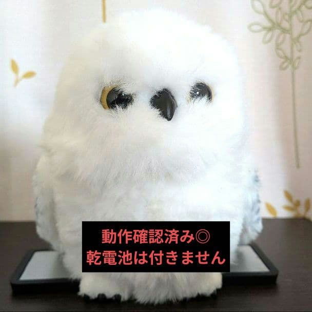 USJハリーポッターヘドウィグ肩乗せ