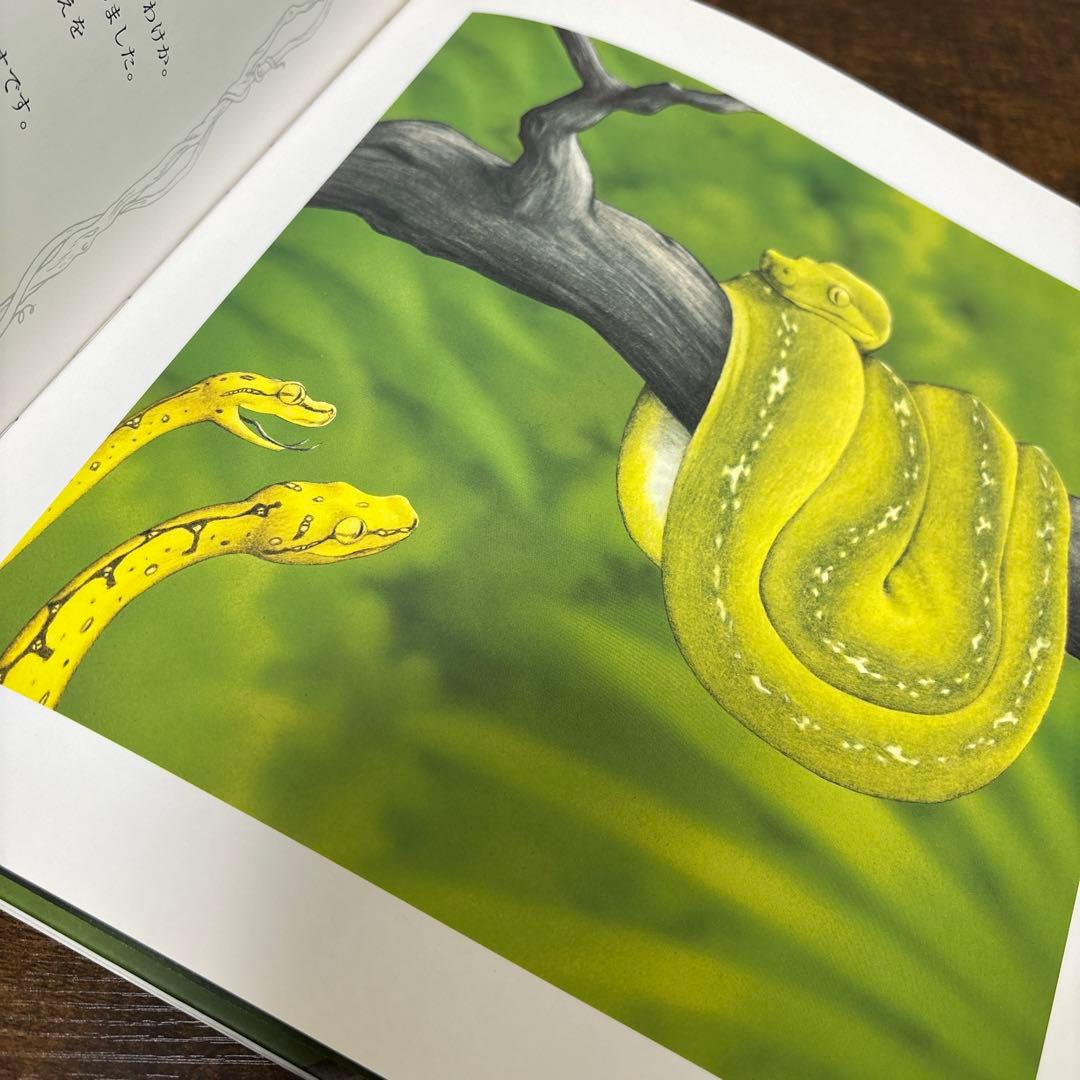 【絶版希少】 ヘビのヴェルディくん 初版 帯付き