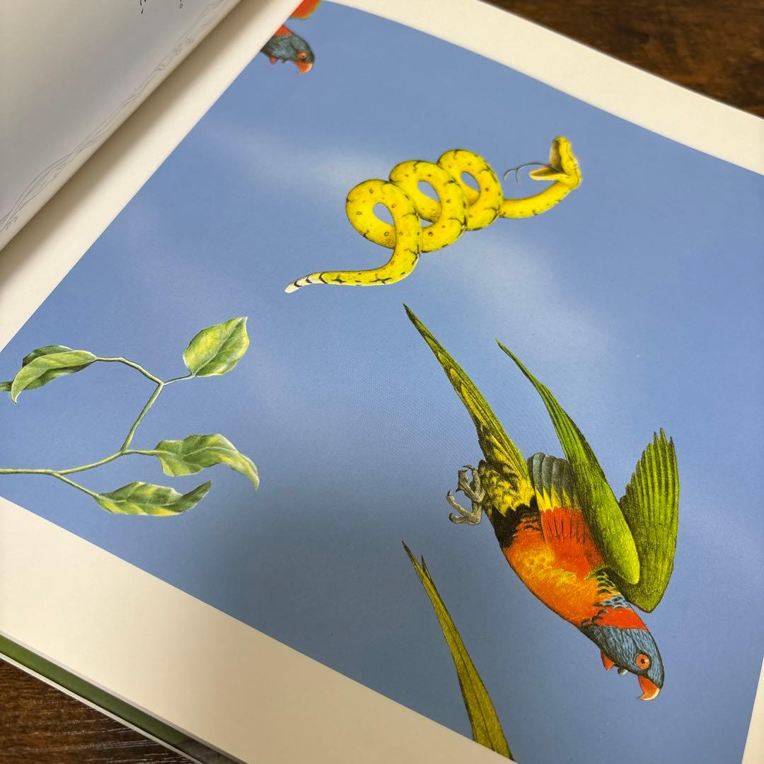 【絶版希少】 ヘビのヴェルディくん 初版 帯付き