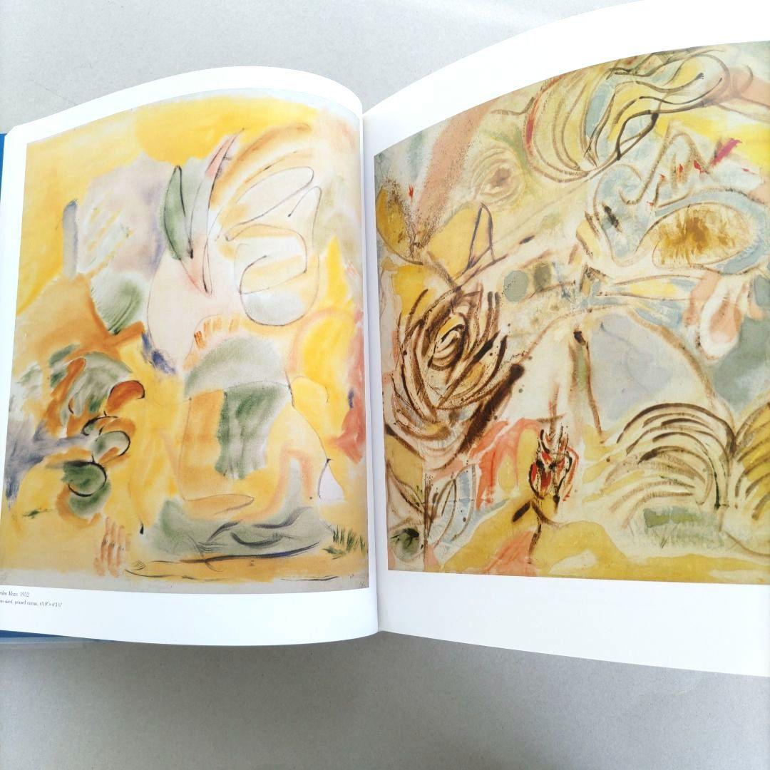 【希少】Frankenthaler/ヘレン・フランケンサーラー 画集 作品集