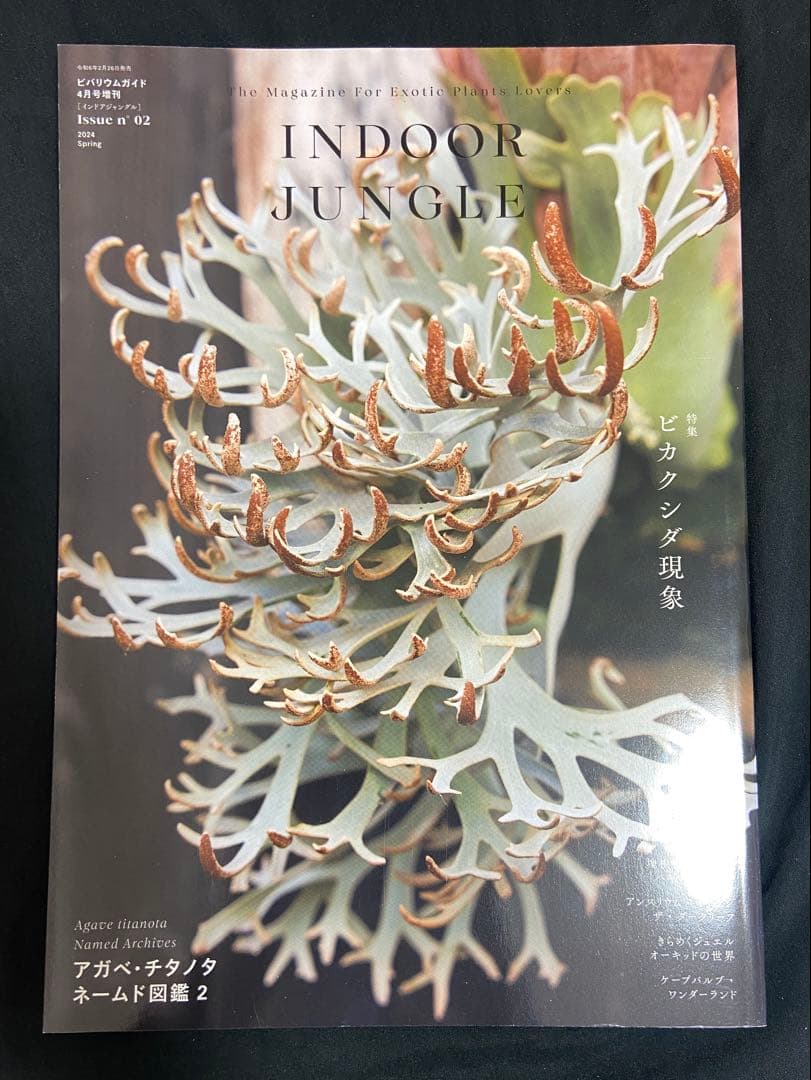 INDOOR JUNGLE 02 2024 Spring インドアジャングル