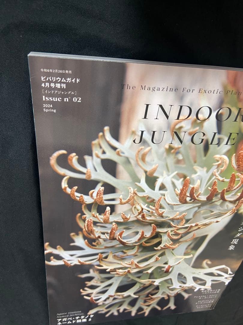 INDOOR JUNGLE 02 2024 Spring インドアジャングル