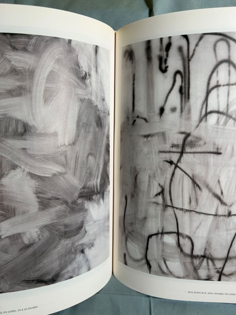 クリストファー・ウール　画集　洋書　大型本