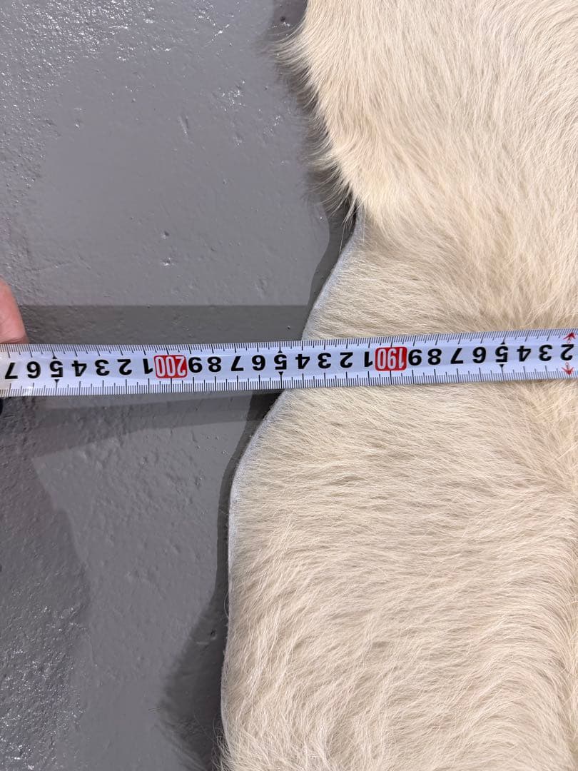 本革製　牛革ラグ 茶色と白