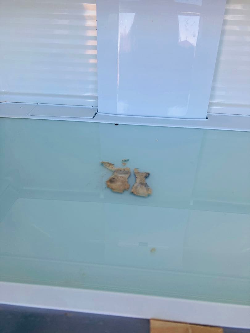 パナソニック 冷蔵庫 NR-SPF454X