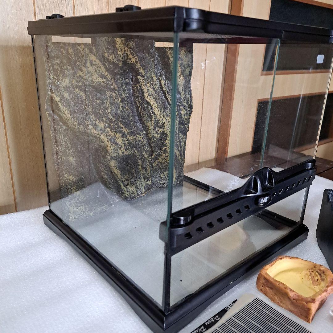 EXOTERRA グラステラリウム 3030 レオパ飼育セット