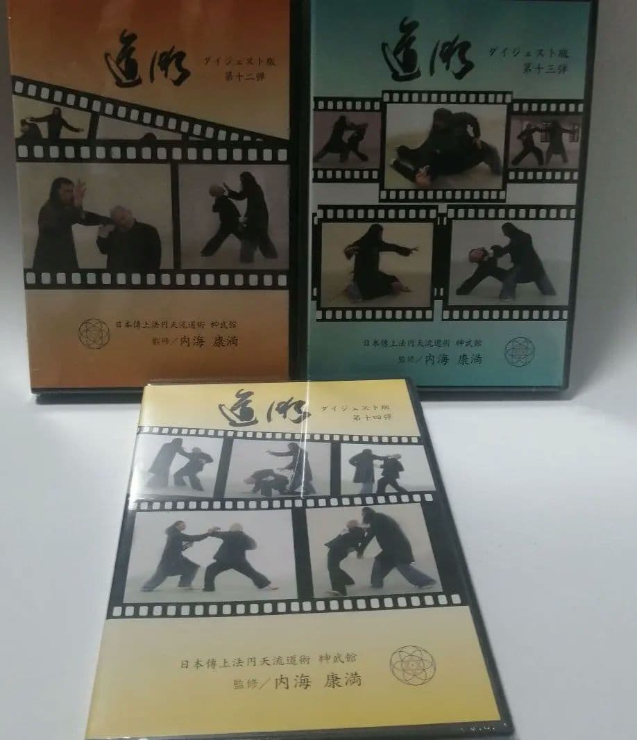 道術？ 日本傳上法円天流道術　内海康満監修ダイジェスト版DVD 11枚不揃い