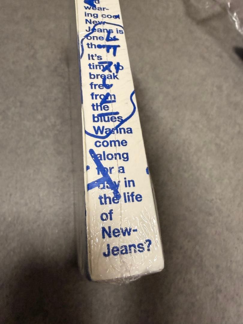 NewJeans bluebook ブルーブック ニュージーンズ　ハニ　ヘリン