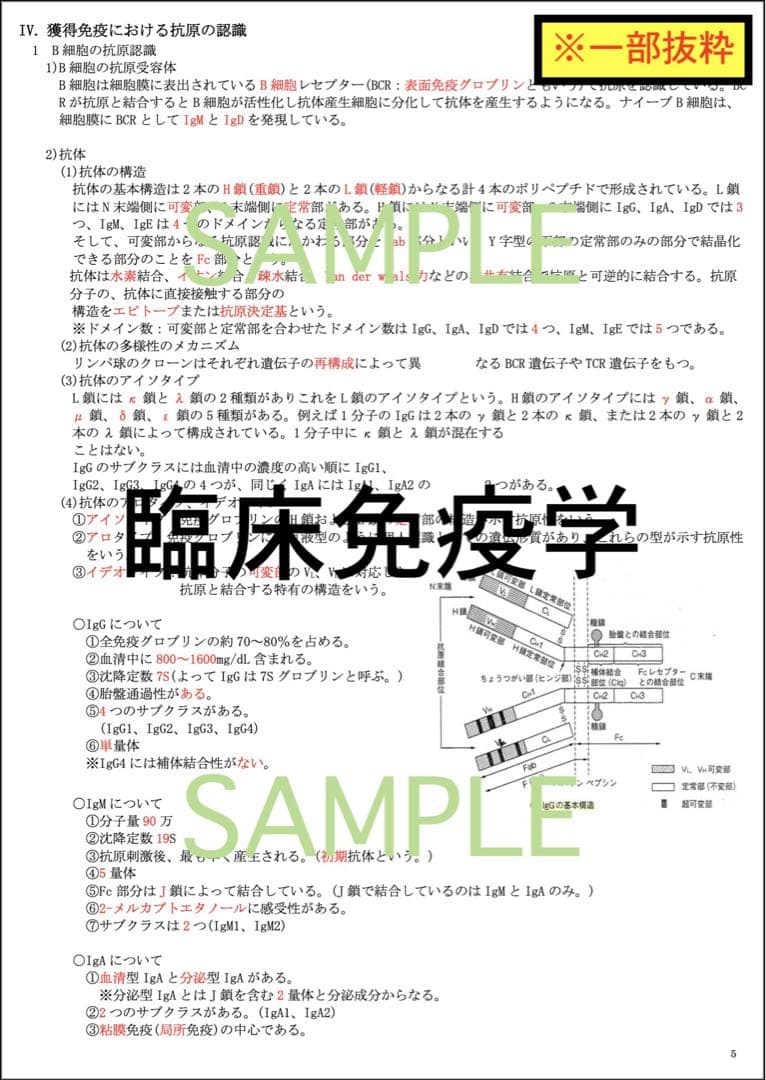 値下げ】臨床検査技師 国家試験 7教科 過去問 対策 まとめ ノート 教科選択可