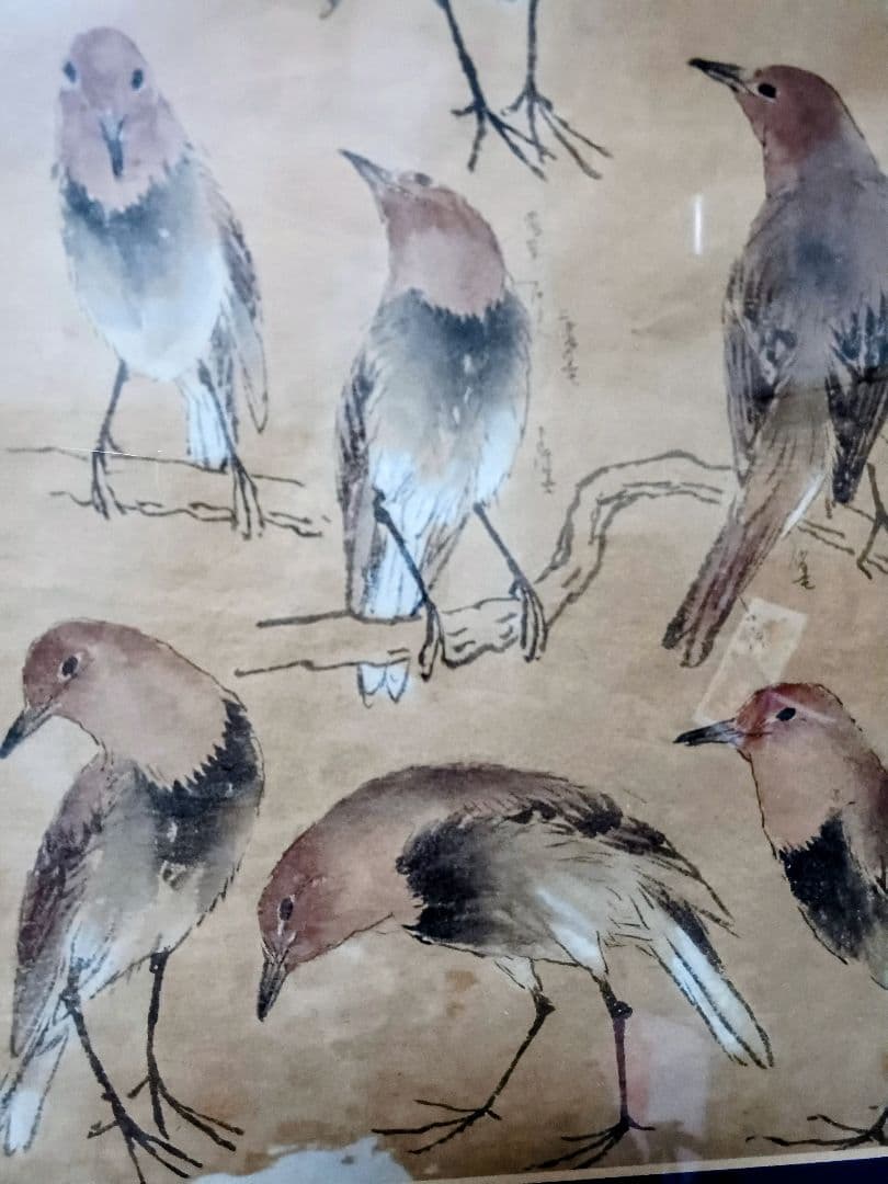 EDOYA　応挙、円山派の謎の水墨原画　額付き コマ鳥図　作者不詳で誰か教えて。