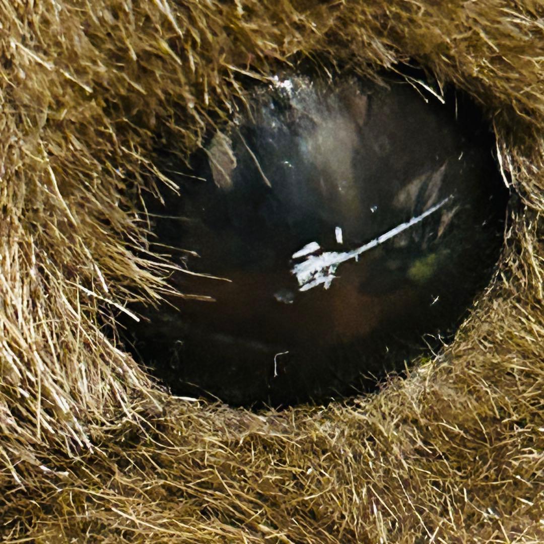 AVANTI アバンティ社　ライスシャワー　第53回菊花賞　ぬいぐるみ