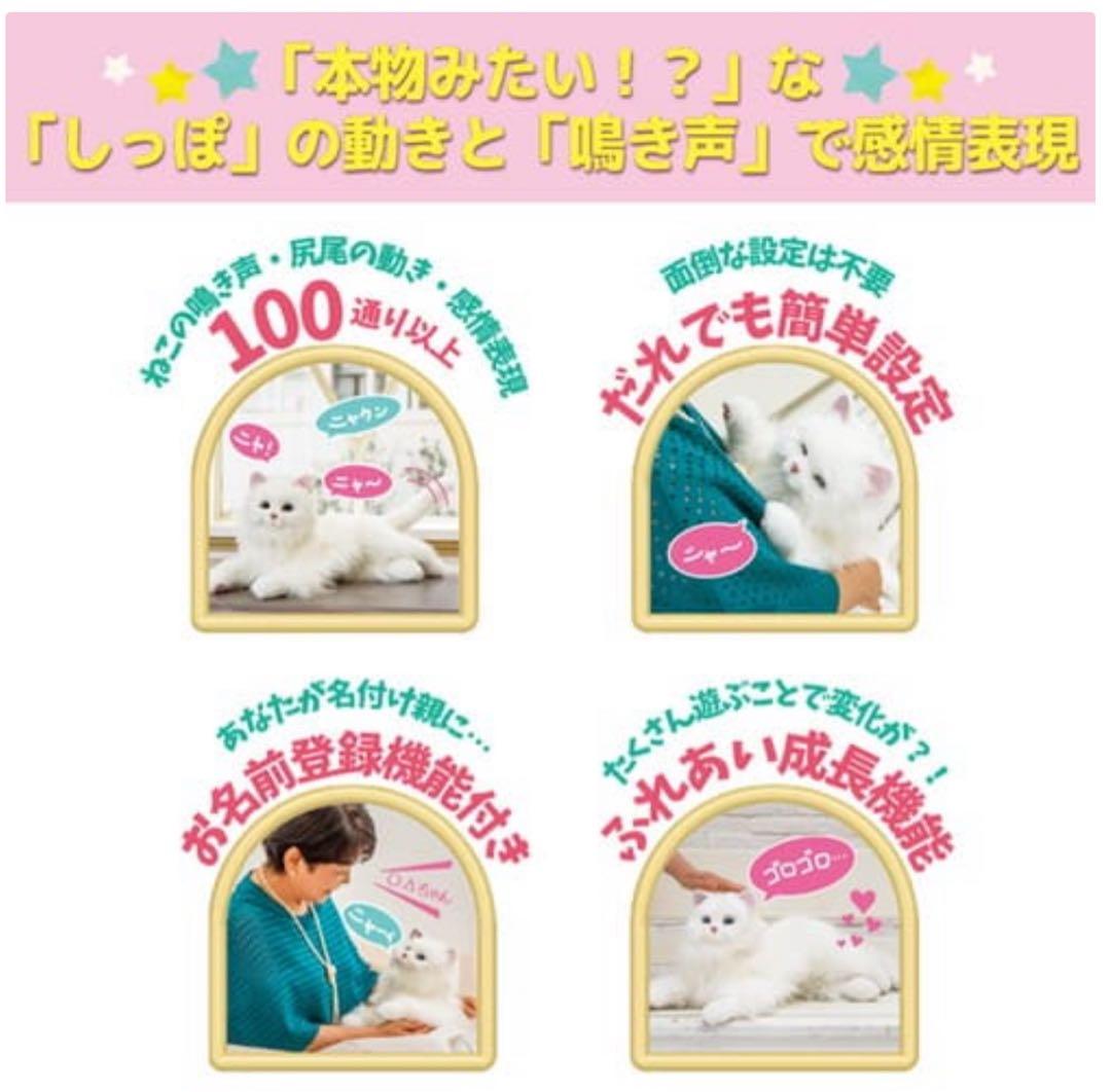 あまえんぼうねこちゃんぬいぐるみ