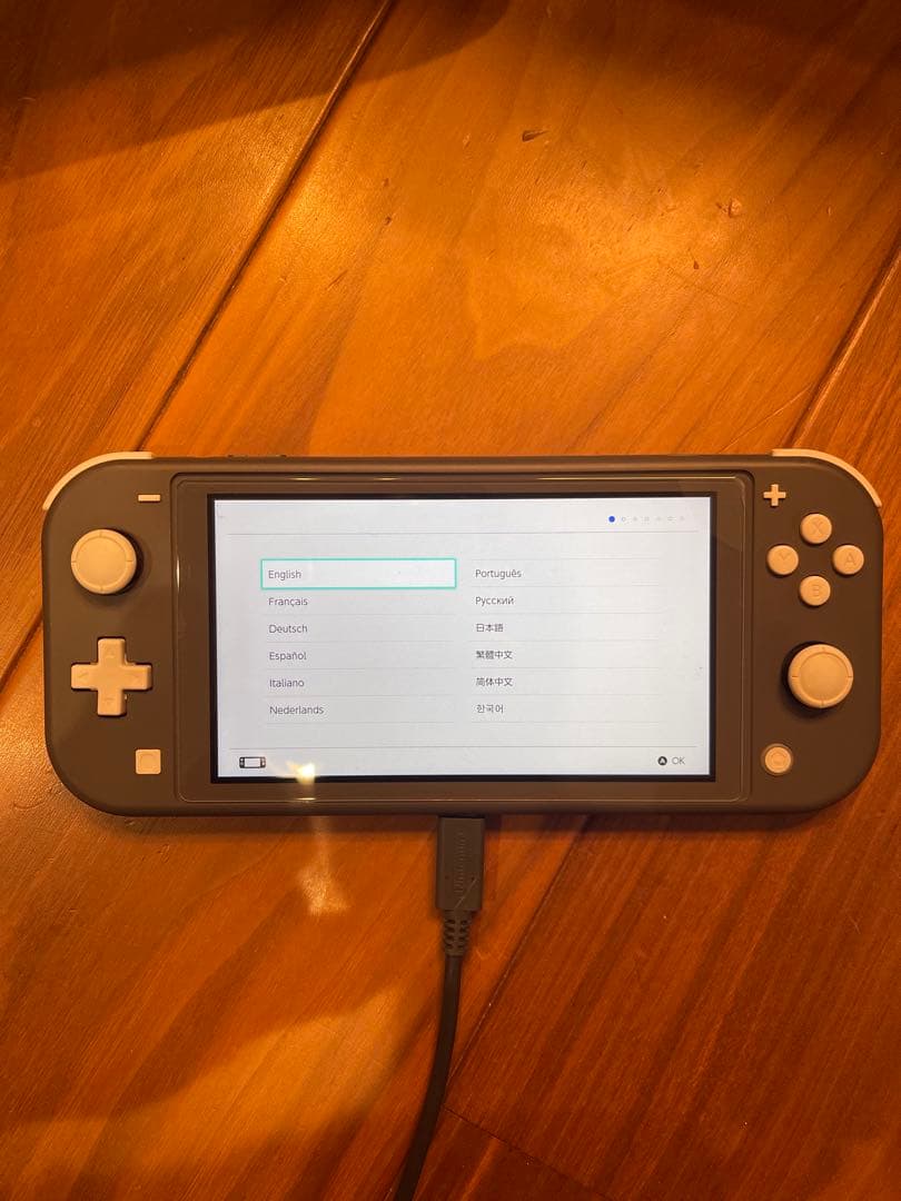 任天堂Switchライト　ケース付き　美品