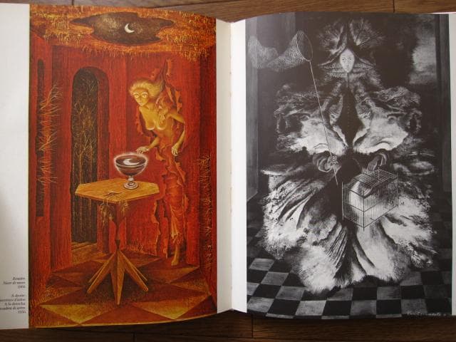 REMEDIOS VARO　レメディオス・バロ　画集