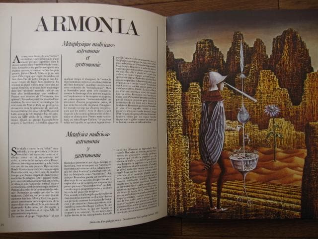 REMEDIOS VARO　レメディオス・バロ　画集