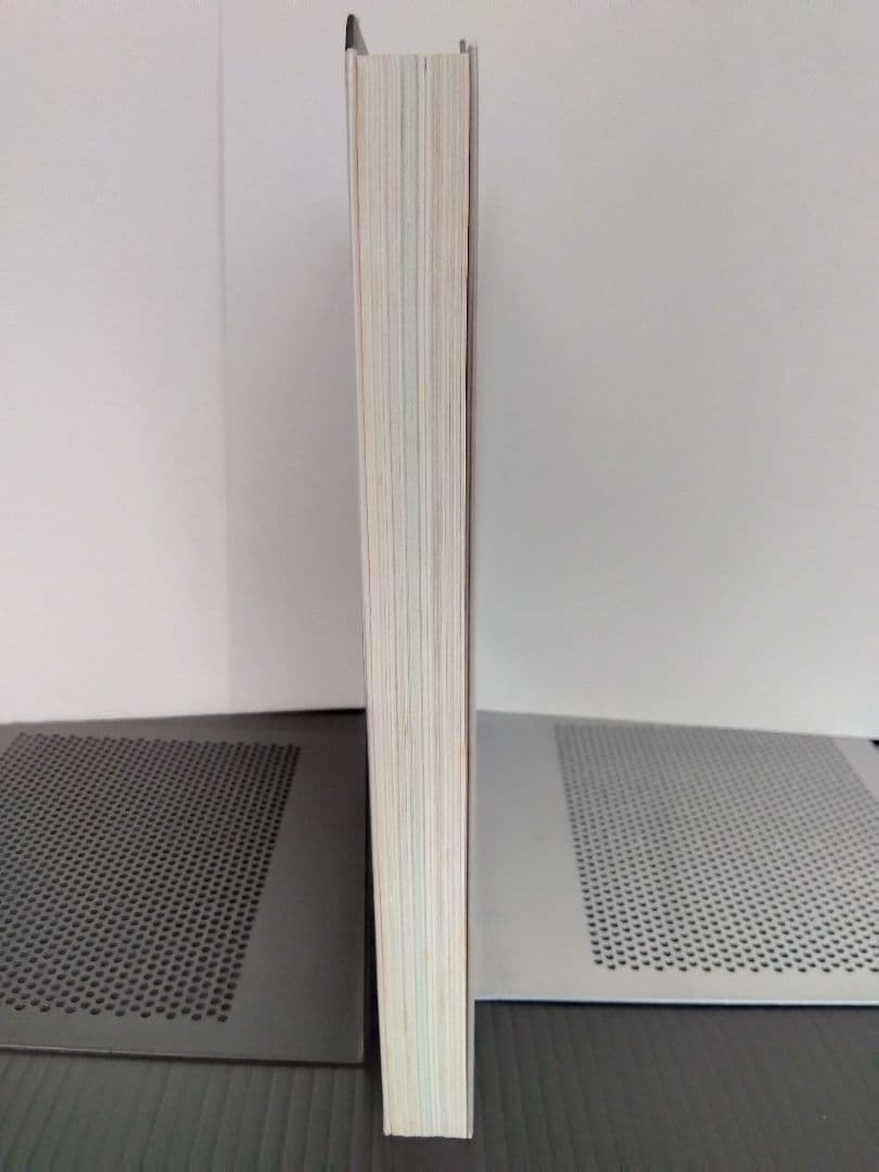 鏡の国 美しい日本の乳房 アート 芸術 写真