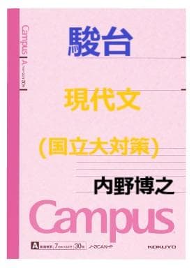 【駿台】『現代文(国立大対策)　内野博之師　第1回授業ノート』　　+α