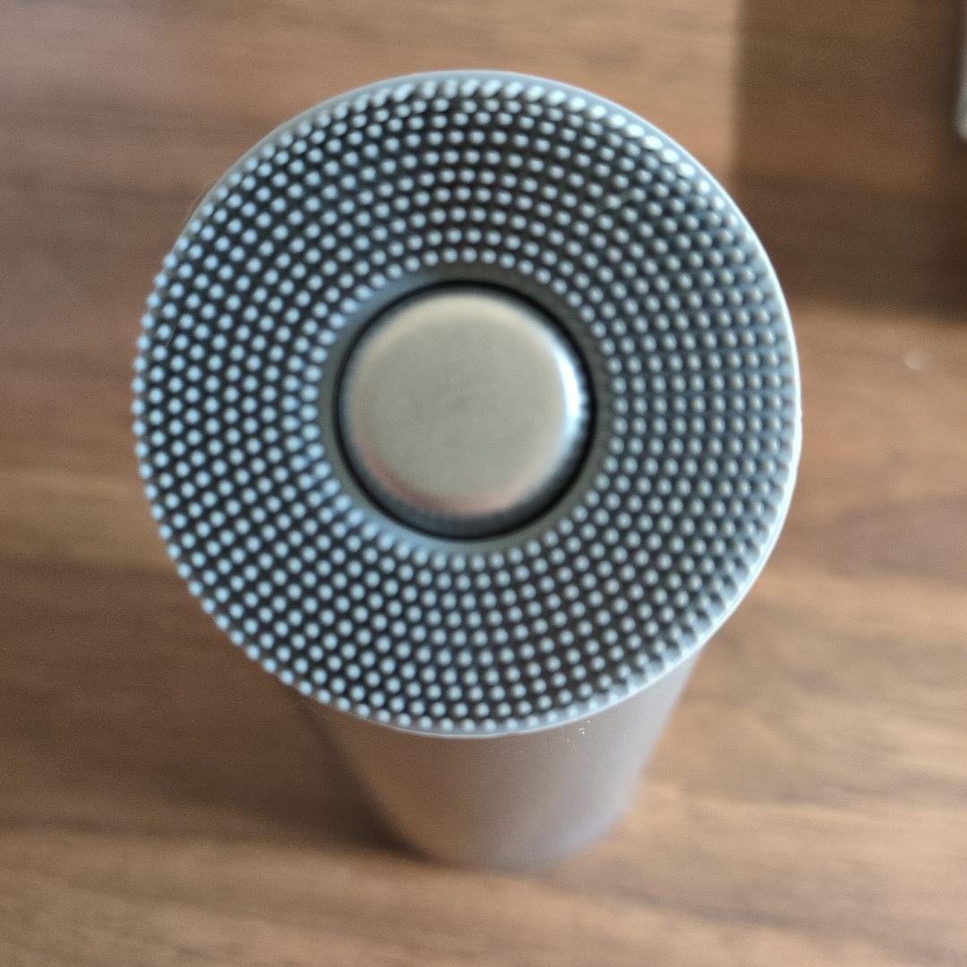 最終価格★サロニア　イオンフェイシャルブラシ