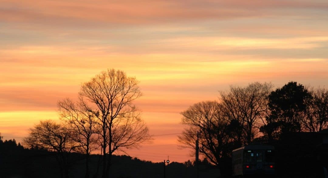 Nrt様　NIKON　D70⚡️1本で広角から望遠まで⚡️初心者⚡️ニコン⚡️