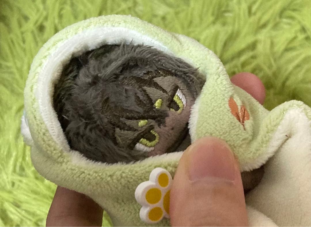 自作ぬいぐるみ・緑の男の子