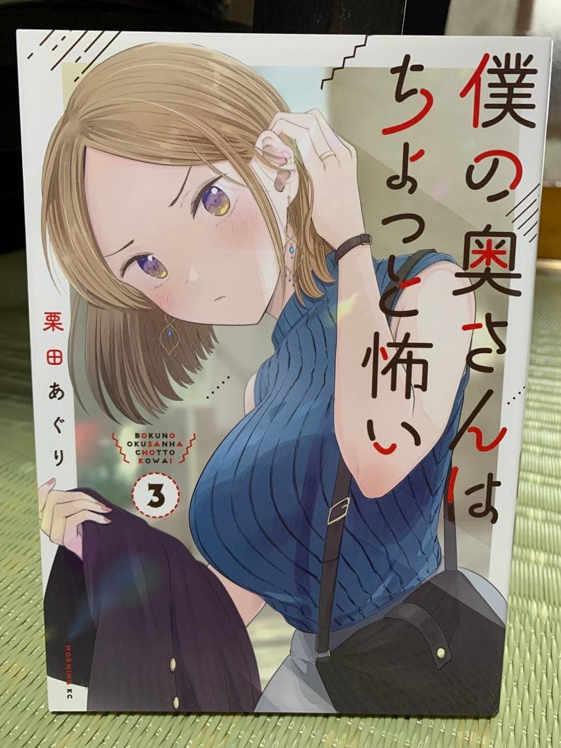 僕の奥さんはちょっと怖い 13巻セット