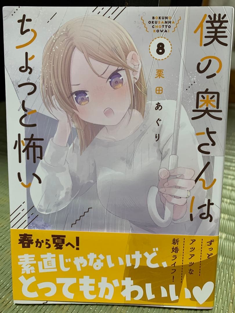 僕の奥さんはちょっと怖い 13巻セット