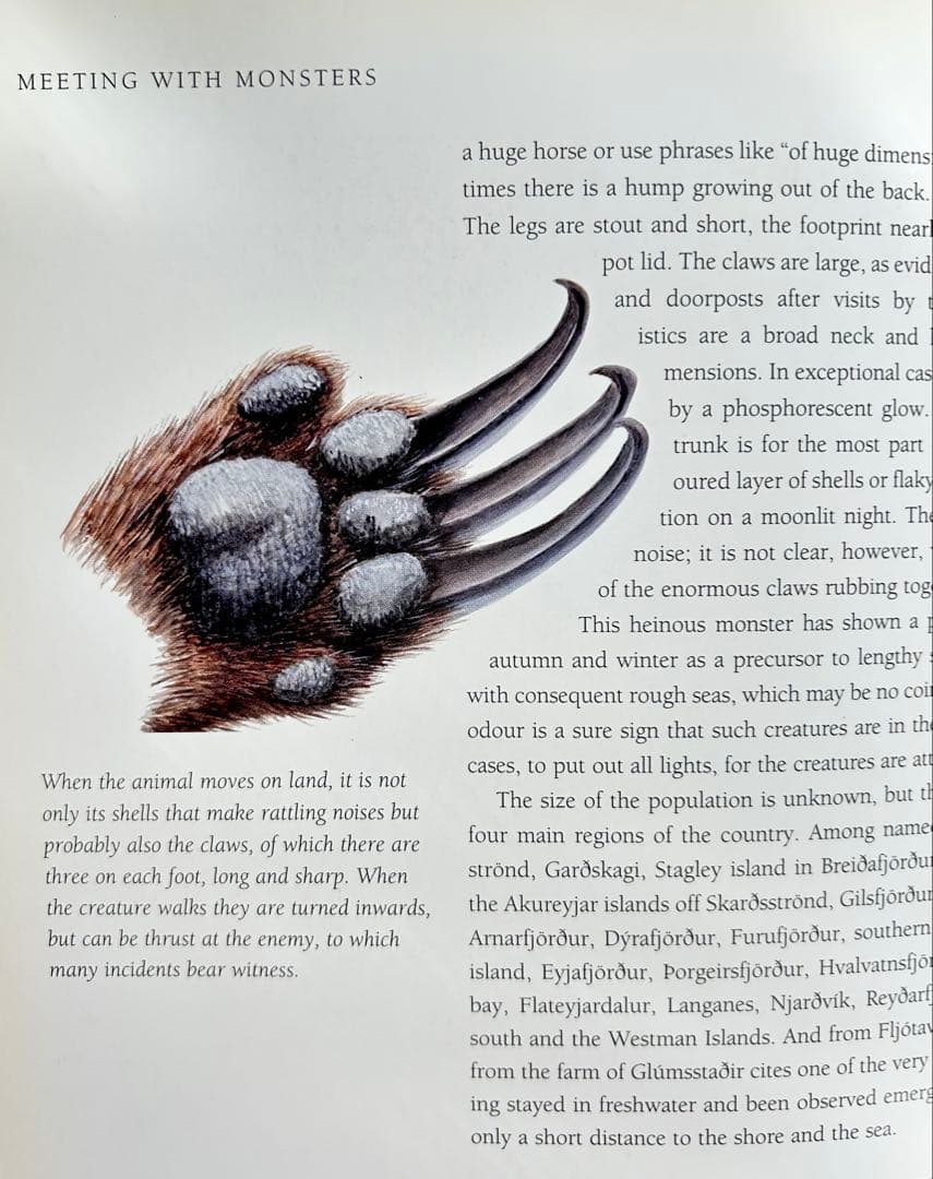 【週末限定大幅値下】希少 Meeting with Monsters 幻獣図鑑