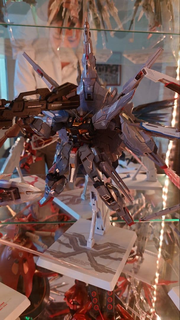 L BUILD プロヴィデンスガンダム メタルビルド