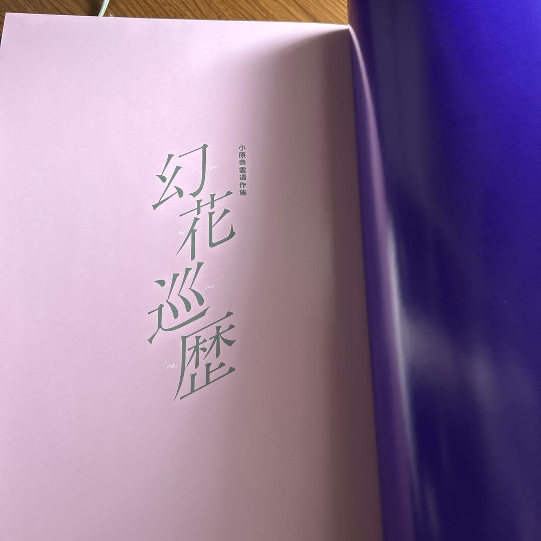 幻花巡歴 小原豊雲遺作集