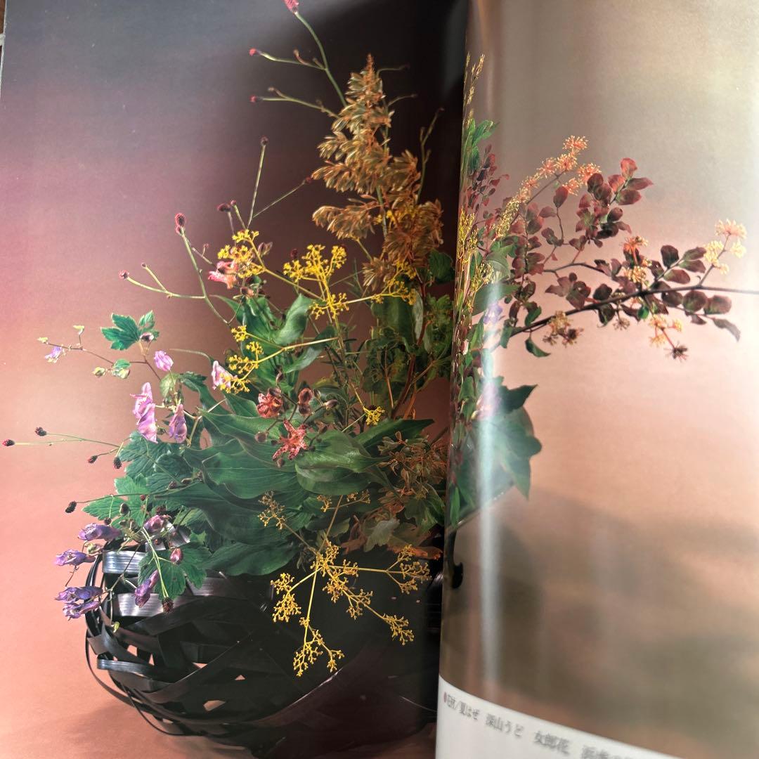 幻花巡歴 小原豊雲遺作集