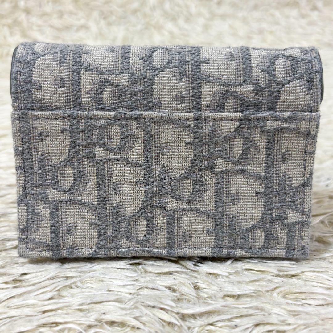 【未使用】クリスチャンディオール 名刺入れ オブリーク トロッター柄 サドル