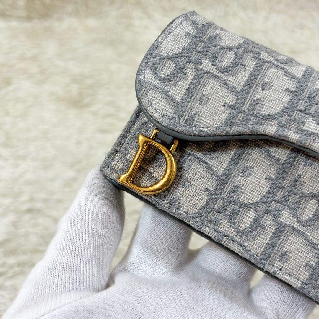 【未使用】クリスチャンディオール 名刺入れ オブリーク トロッター柄 サドル