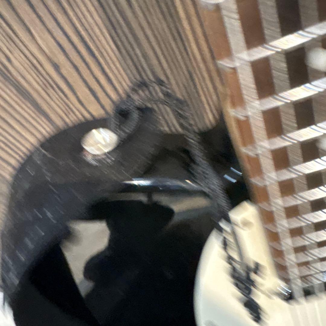 バスカーズ エレキギター 美品 島村楽器