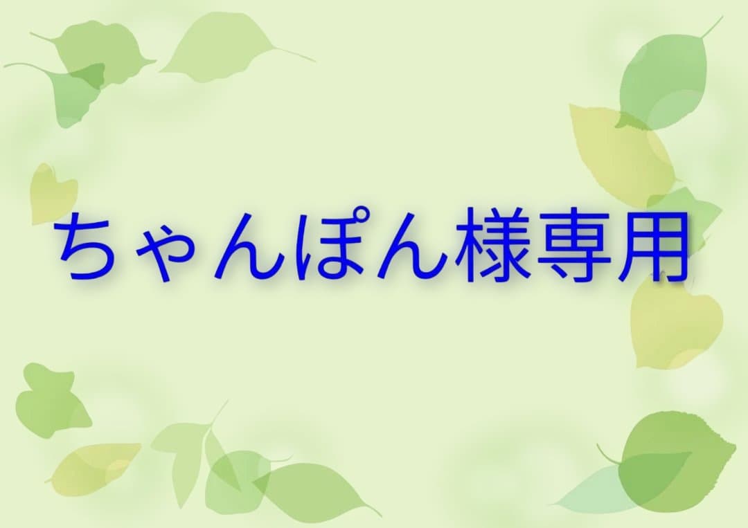 ちゃんぽん LaPRECIAセット