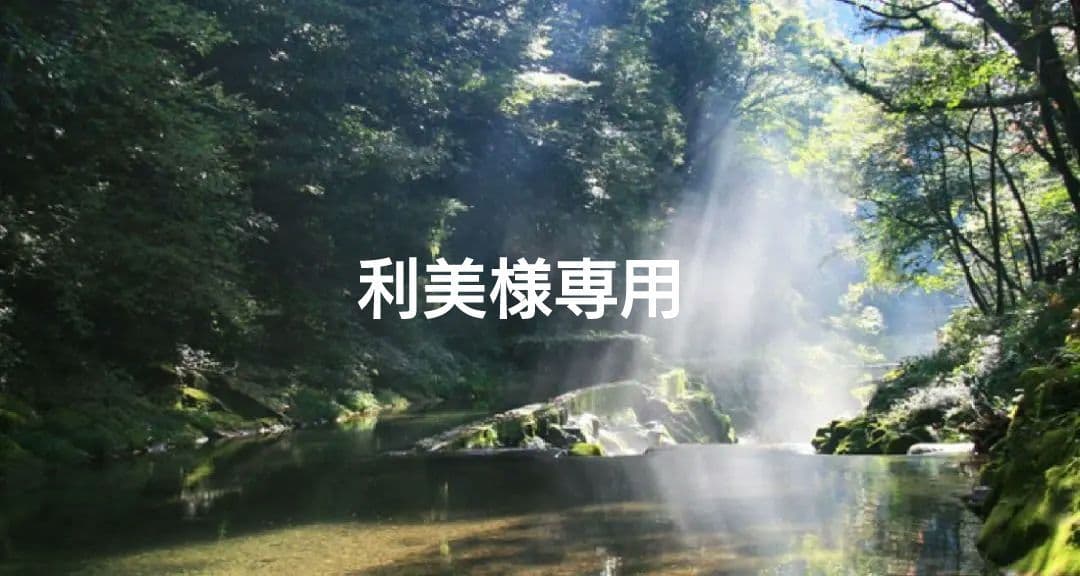 利美さま専用　特典付✨電磁波防止✨本物CMCペンダント USA版 強力