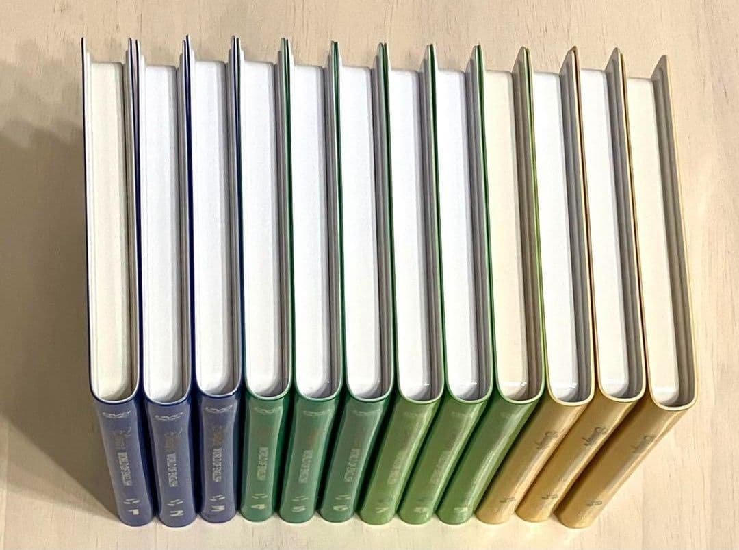 新子役　ディズニー英語システム　シングアロング dvd dwe