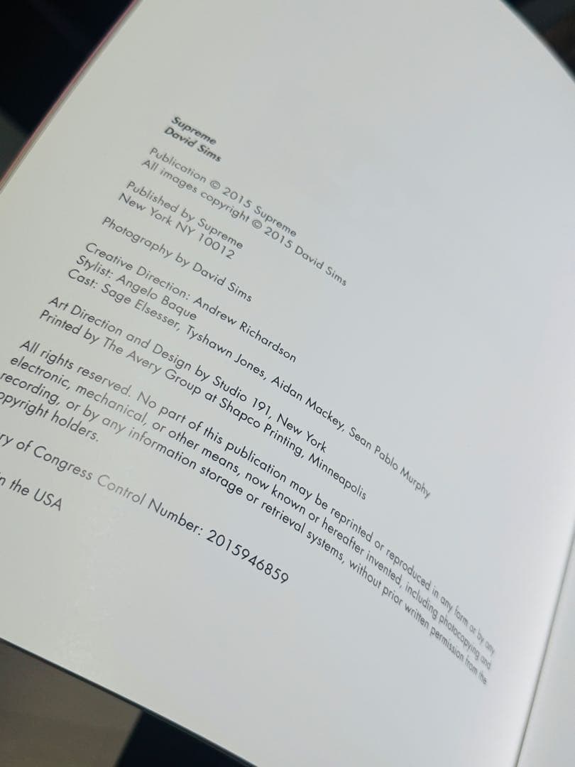 【希少本】Supreme David Sims ポスター付