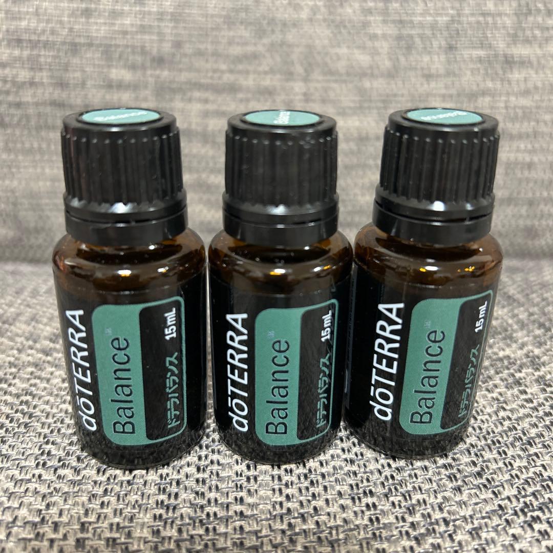 たわし　4本セット