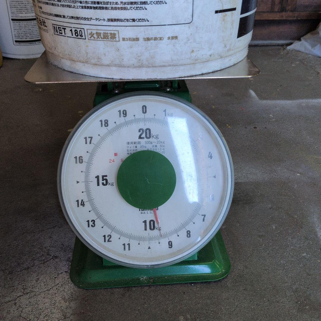 エゾシカ　角　今年の物　12本