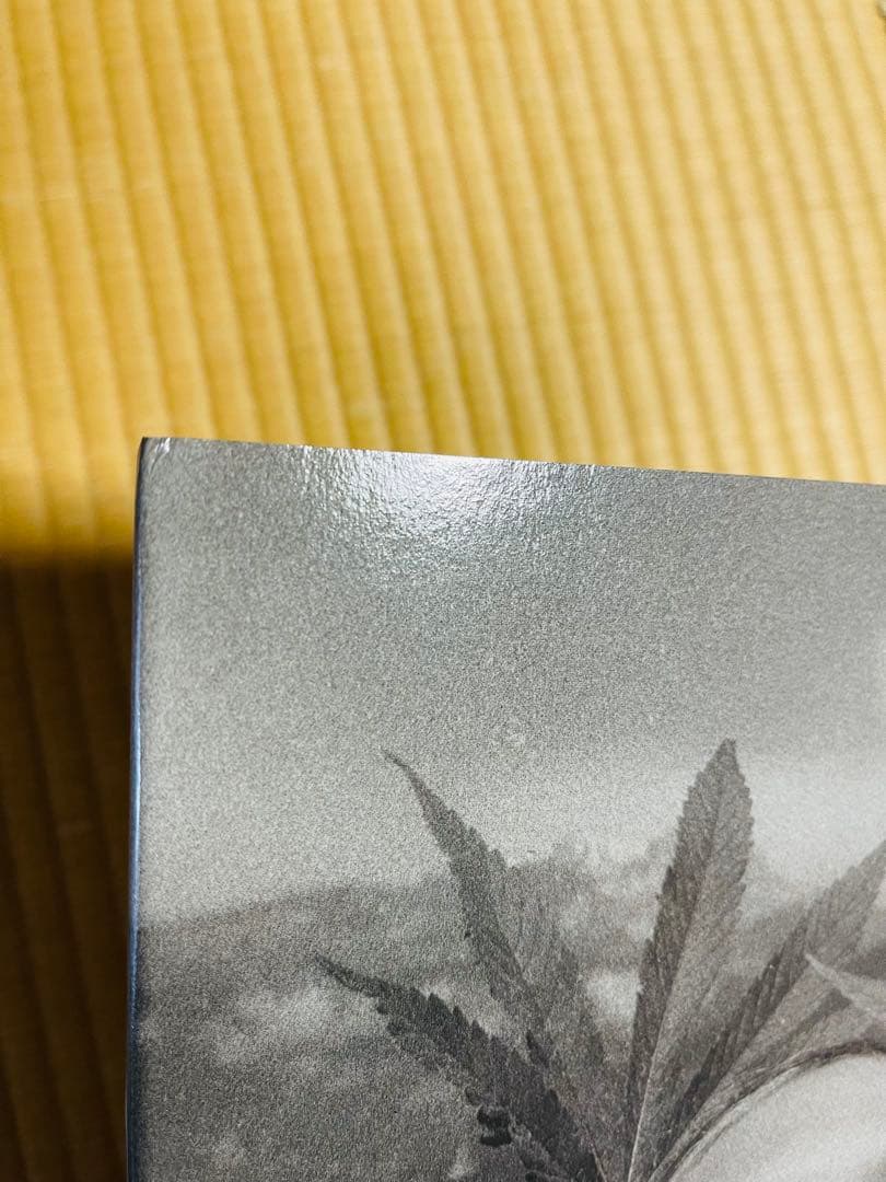 洋書 Henrik Purienne / Wandering and Learning