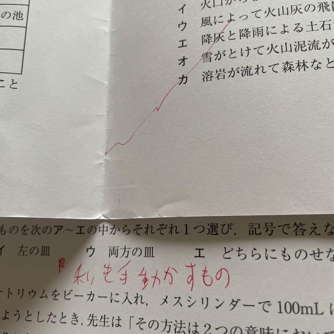 サピックス　開成コース理科対策プリント　冬期講習　正月特訓　SSKA 日曜日特訓