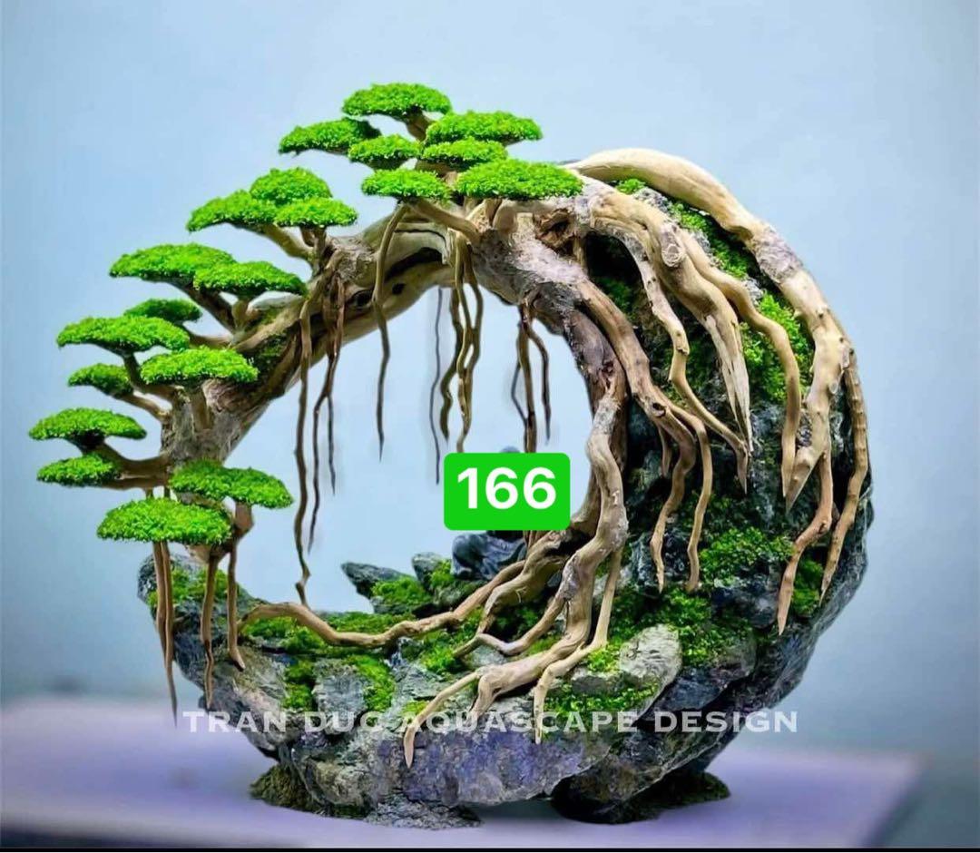 TTD 【⭐︎ こまさ様⭐︎】【美品・数量限定】