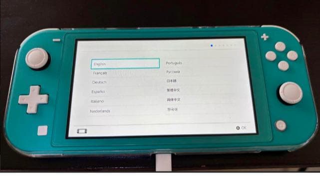 【美品＆付属品充実】Nintendo Switch Lite ターコイズ セット