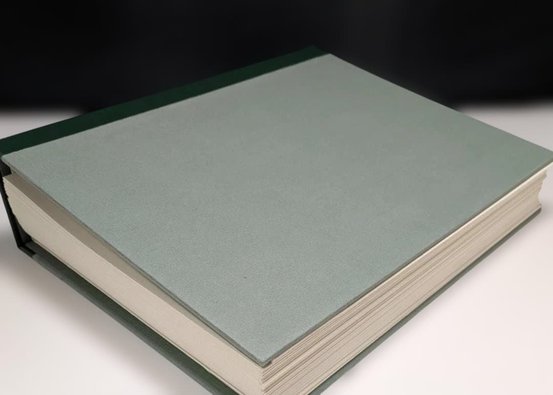 ★ラウル・デュフィ 挿画本 ポートフォリオ★挿画 24点＋スイート★1956年★