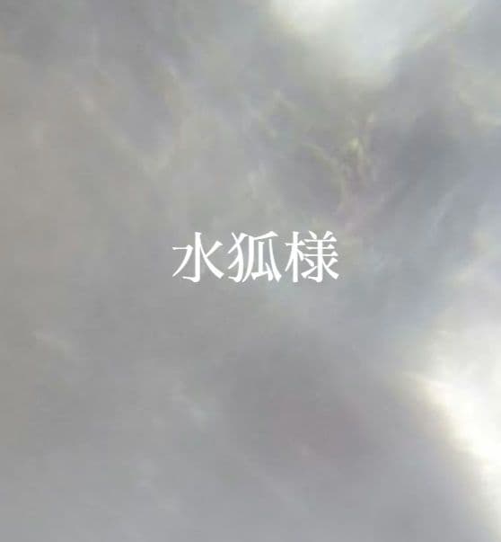 14.水狐様　オーダー