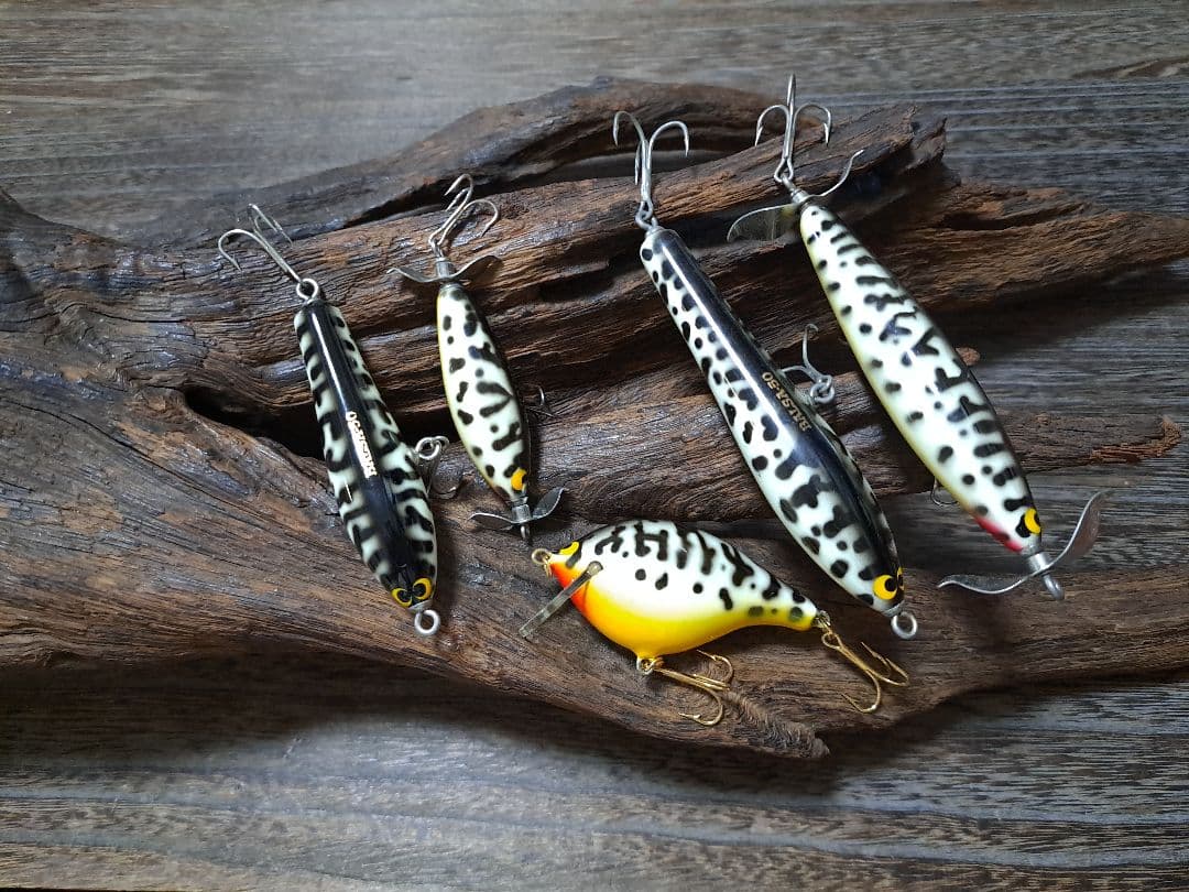 美品　バルサ50　ホワイトコーチドッグ　5個セット