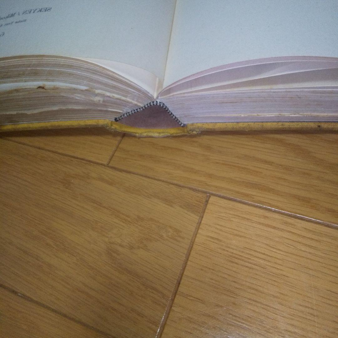 日本の妖怪変化 ドイツ版