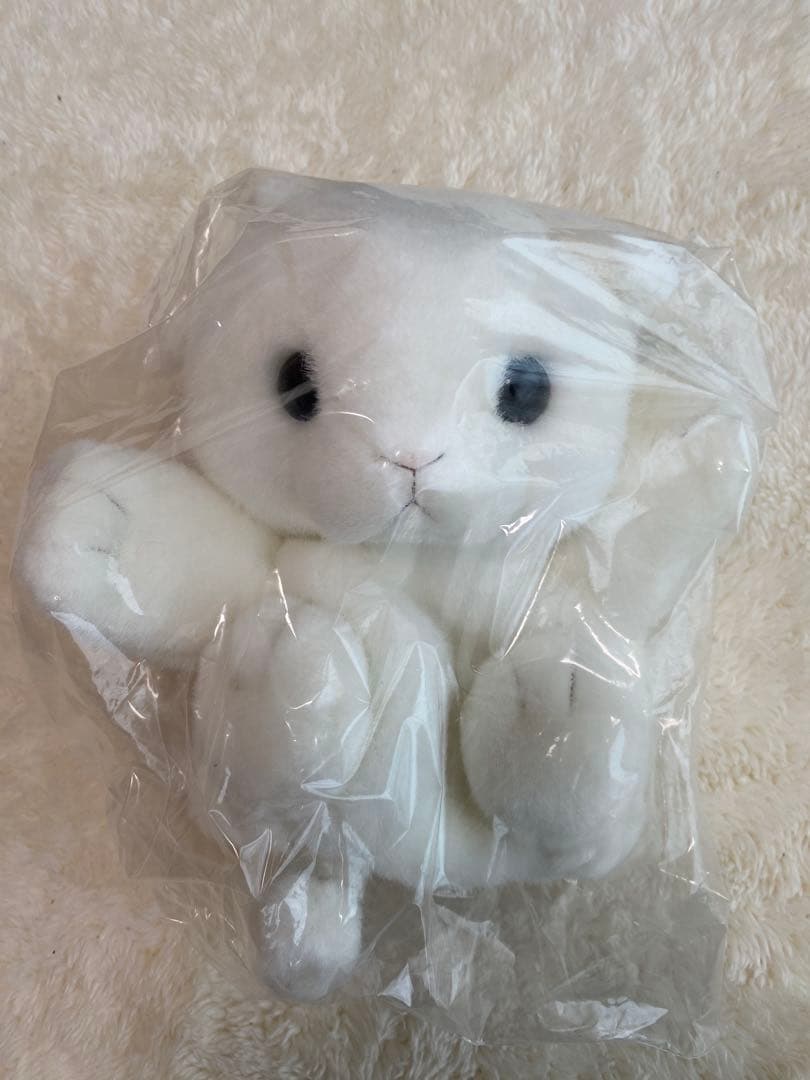 自閉症 発達障害児 教育診断検査　三訂版　PEP-3